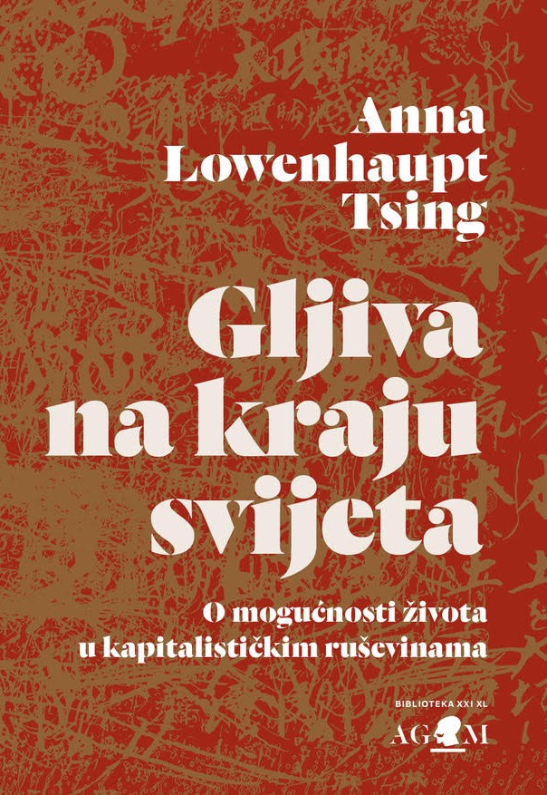 Gljiva na kraju svijeta
